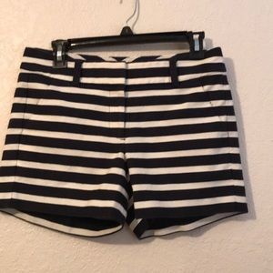 Ann Taylor dressy shorts